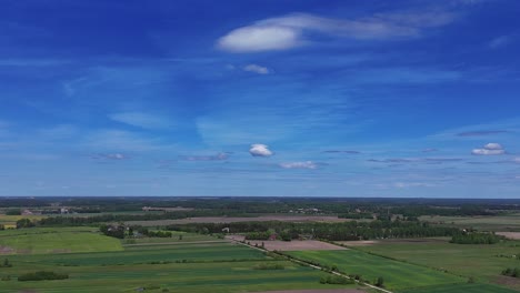 Ausgedehnte-Grüne-Felder-Und-Ein-Strahlend-Blauer-Himmel-Mit-Vereinzelten-Wolken-In-Einer-Litauischen-Landschaft