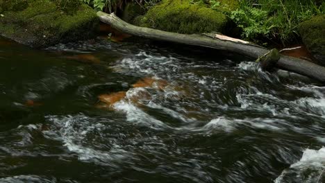 El-Río-Fowey-Fluye-Rápidamente-A-Través-De-La-Reserva-Natural-De-Golitha-Falls.