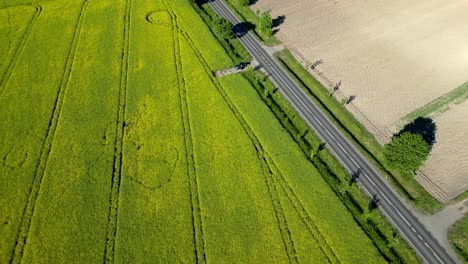 Road-between-farmland-with-cars-driving-on-it,-rapeseed-field,-and-potato-field