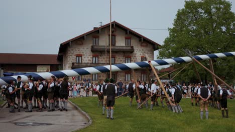Young-men-setting-up-a-traditional-Bavarian-maypole