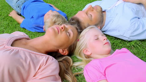 A-family-lies-head-to-head-in-grass-while-sleeping-before-the-daughter-begins-to-move