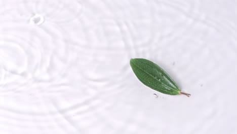 Rain-falling-in-super-slow-motion-on-water-surface