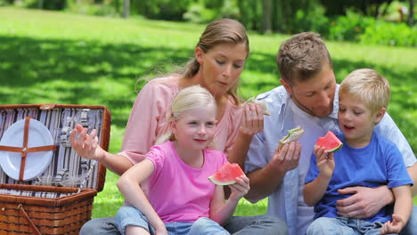 Familie-Isst-Sandwiches-Und-Scheiben-Auf-Wassermelone-Während-Eines-Picknicks