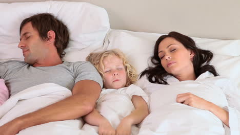 Friedlich-Schlafende-Familie