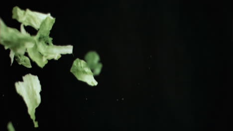 Lettuce-falling-in-super-slow-motion