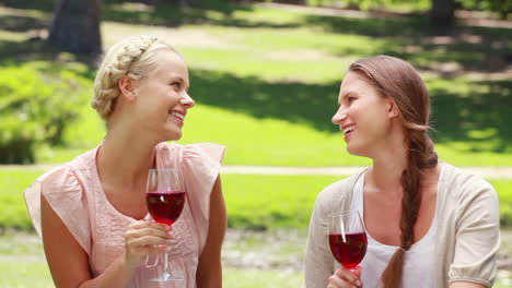 Two-women-having-wine-in-the-park-as-they-talk-to-each-other