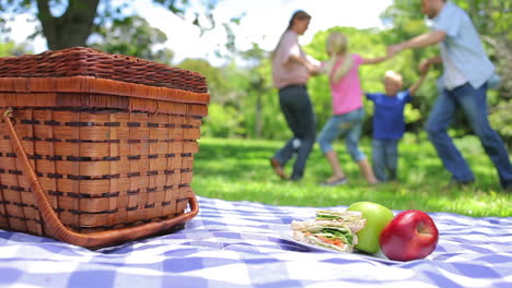 Family-together-in-the-background-with-a-platter-on-a-picnic-basket-in-the-foreground