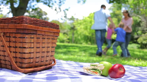 Family-dancing-in-a-ring-in-the-background-with-a-picnic-in-the-foreground