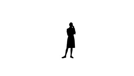 Silhouette-Einer-Frau,-Die-Ein-Gespräch-Am-Telefon-Führt