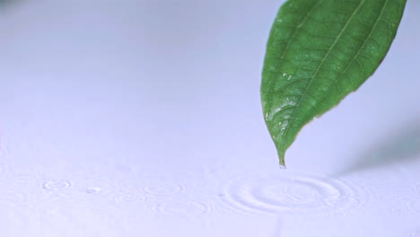 Nieselregen-Fällt-In-Superzeitlupe-Auf-Ein-Blatt