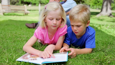 Girl-pointing-as-she-reads-a-book-while-lying-next-to-a-boy-who-is-listening-to-her-in-a-park