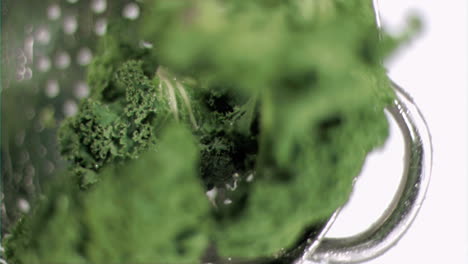 Kale-being-washed-in-super-slow-motion