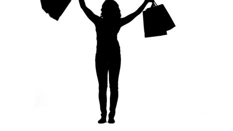 Silhouette-Einer-Energischen-Frau-Mit-Einkaufstüten