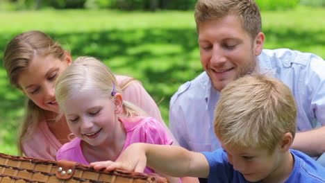 Family-looking-into-a-picnic-basket