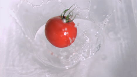 Tomato-falling-into-water-in-super-slow-motion