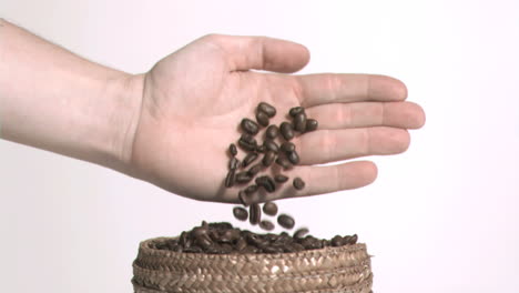 Coffee-seeds-in-slow-motion