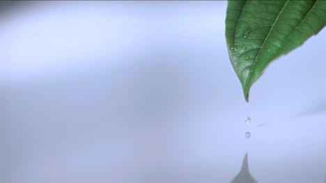 Water-droplet-falling-in-super-slow-motion