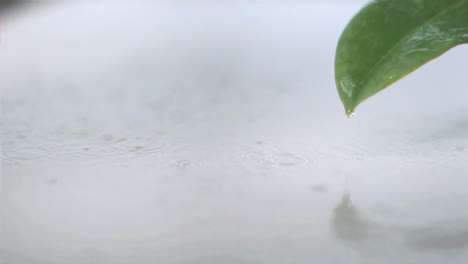 Raindrops-in-super-slow-motion