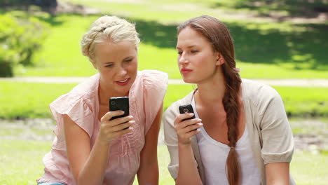 Zwei-Frauen-Mit-Ihren-Handys-In-Der-Hand-Im-Park,-Während-Sie-Eine-Textnachricht-Lesen