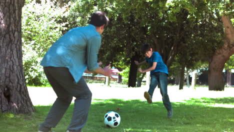 Junge-Spielt-Mit-Seinem-Vater-In-Zeitlupe-Fußball