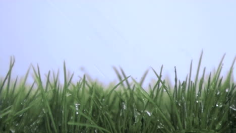 Water-falling-in-super-slow-motion-on-the-grass
