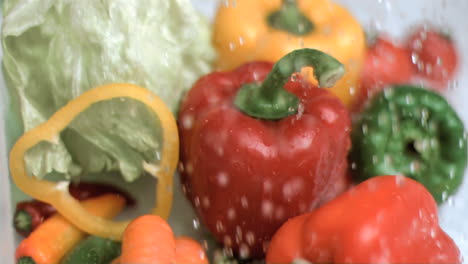 Water-raining-on-vegetables-in-super-slow-motion