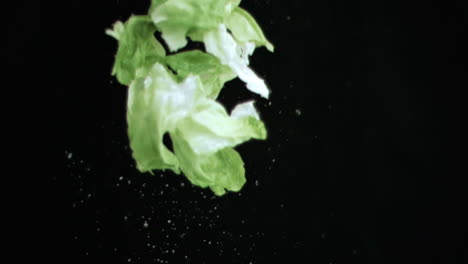 Lettuce-thrown-upwards-in-super-slow-motion