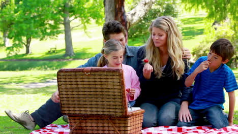 Familie-Beim-Gemeinsamen-Picknick