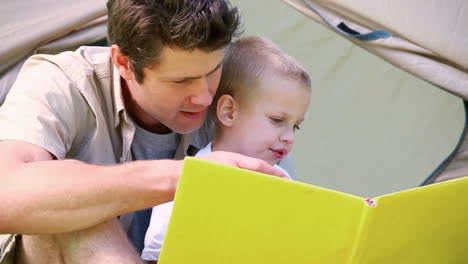 Little-boy-looking-picture-book-with-his-father