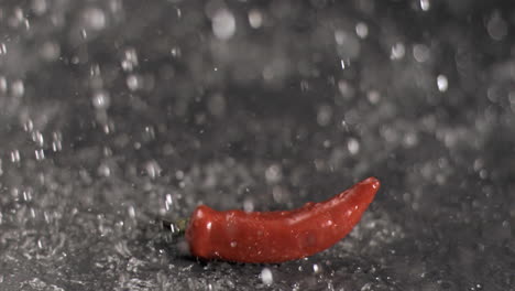 Water-raining-on-chili-in-super-slow-motion