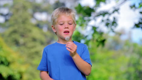 Niño-Soplando-Un-Diente-De-León-Y-Sonriendo