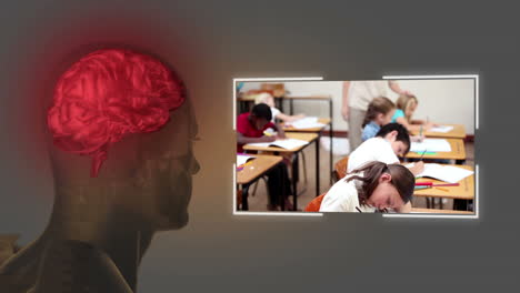 Videos-of-a-primary-classroom-with-brain-