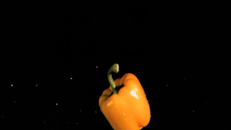 Wet-bell-pepper-rotating-in-super-slow-motion-