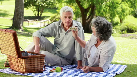 Smiling-mature-woman-giving-a-sandwich-to-her-husband