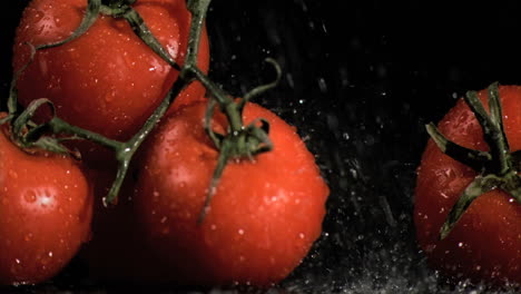 Regentropfen-Fallen-In-Superzeitlupe-Auf-Tomaten