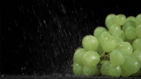 Gotas-De-Lluvia-En-Cámara-Súper-Lenta-Cayendo-Sobre-Las-Uvas