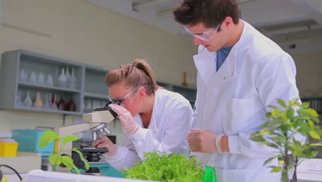 Chemists-looking-through-microscope