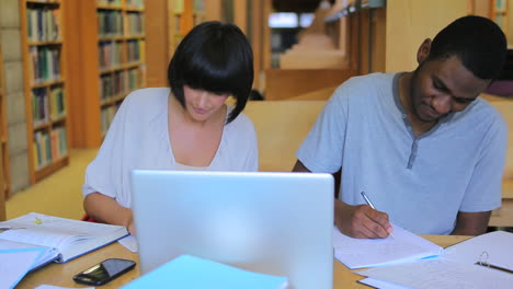 Personas-Trabajando-En-Tareas-En-La-Biblioteca