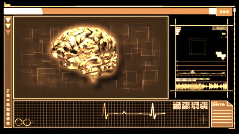 Medical-digital-interface-showing-brain