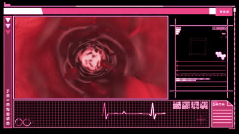 Digital-interface-showing-bloodflow