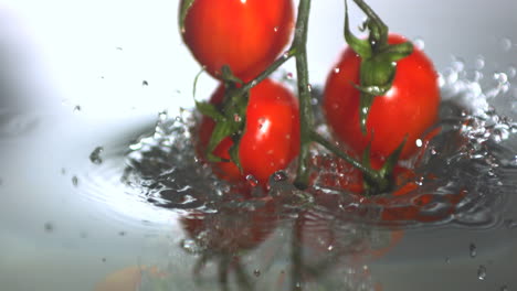 Vine-tomatoes-falling-in-water-
