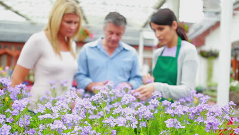 Couple-standing-looking-at-flowers-