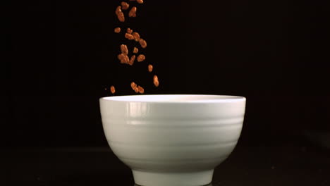Chocolate-rice-cereal-falling-in-a-bowl-