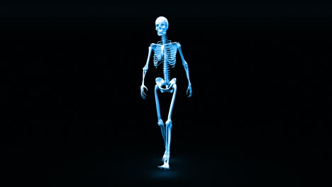 Skeleton-appears-and-becomes-fully-formed-human