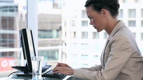 Mujer-De-Negocios-Usando-Una-Computadora