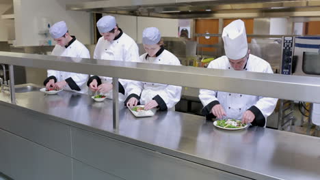 Cooks-garnishing-plates-in-a-kitchen