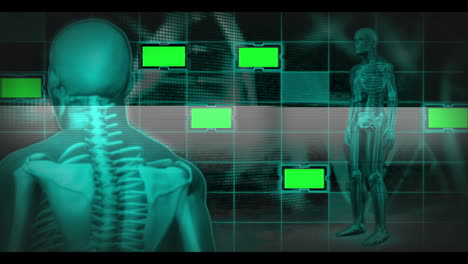 Revolving-human-skeleton-with-copy-spaces