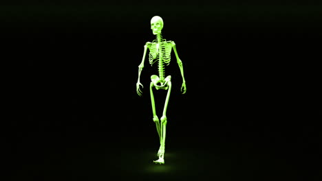El-Esqueleto-Andante-Aparece-Y-Se-Vuelve-Humano-Completamente-Formado.