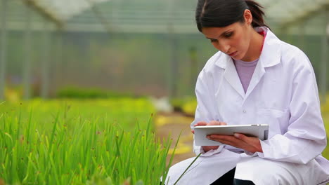 Scientist-kneeling-at-the-greenhouse