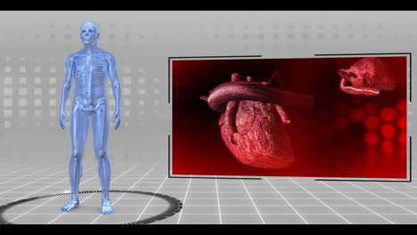 Revolving-running-skeleton-being-scanned